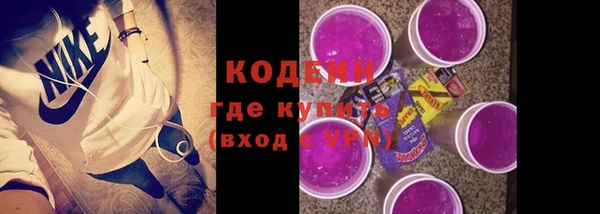 индика Абинск