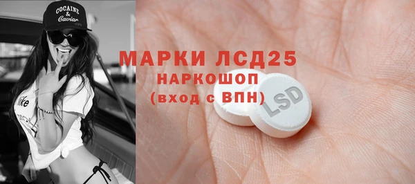 индика Абинск