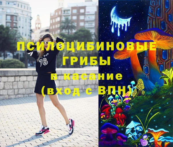 индика Абинск
